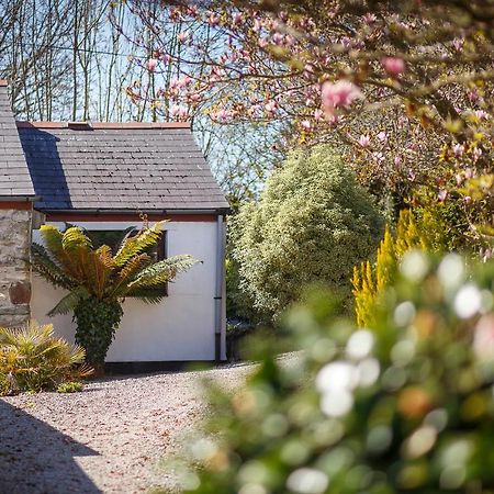 The Snug At Cornish Barn Holidays Truro Ngoại thất bức ảnh