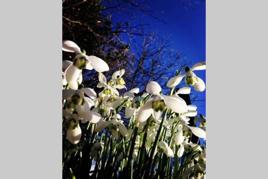 The Snug At Cornish Barn Holidays Truro Ngoại thất bức ảnh