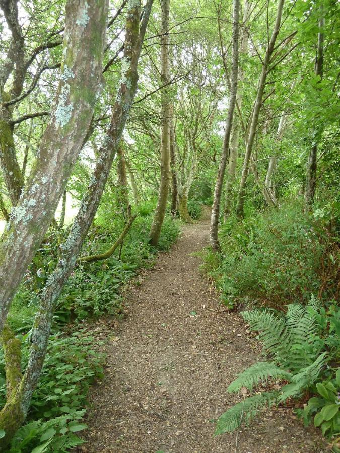 The Snug At Cornish Barn Holidays Truro Ngoại thất bức ảnh