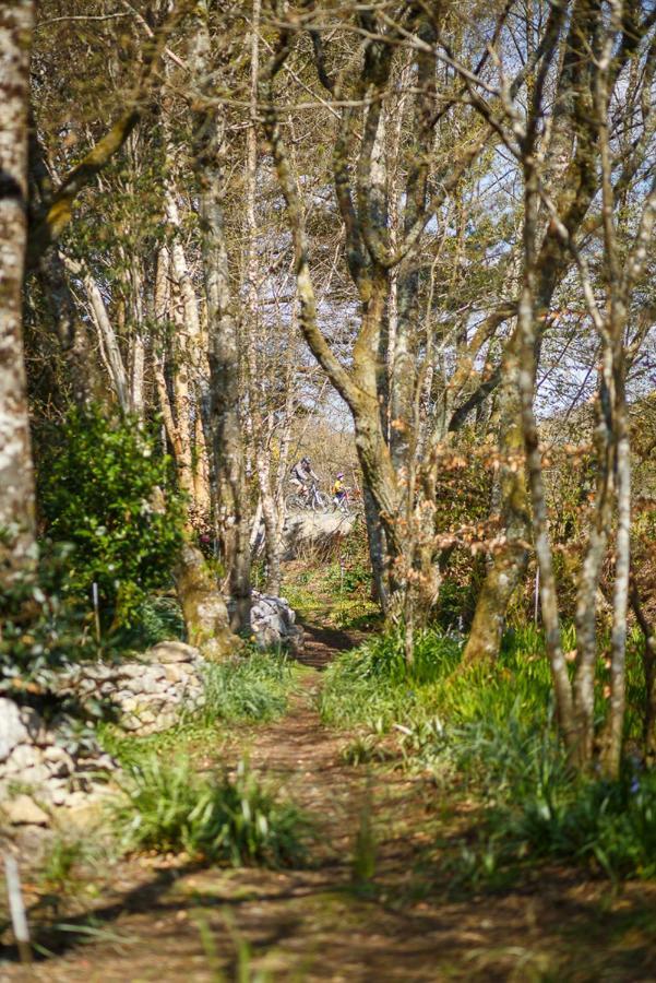 The Snug At Cornish Barn Holidays Truro Ngoại thất bức ảnh