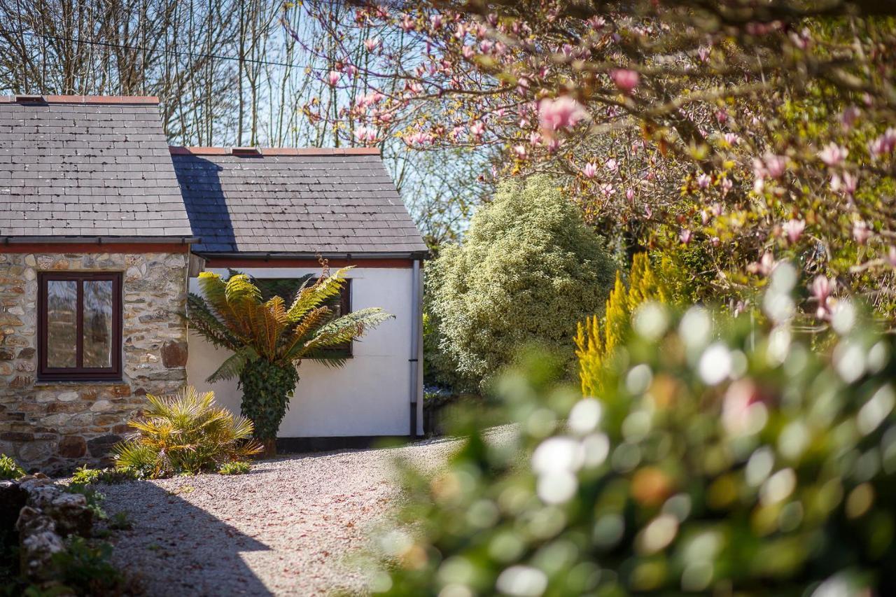 The Snug At Cornish Barn Holidays Truro Ngoại thất bức ảnh