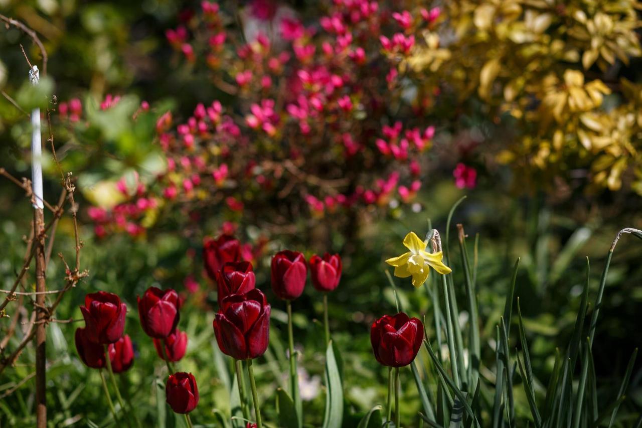 The Snug At Cornish Barn Holidays Truro Ngoại thất bức ảnh